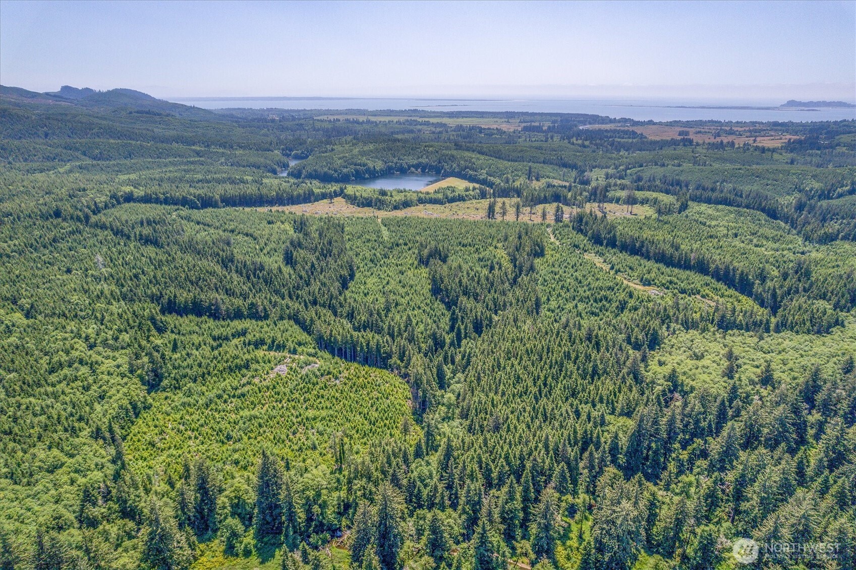 0 Walberg Road Chinook, WA 98614 - Photo 11 of 29 an aerial view of forest