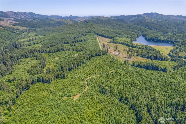 a view of a lush green hillside and a building