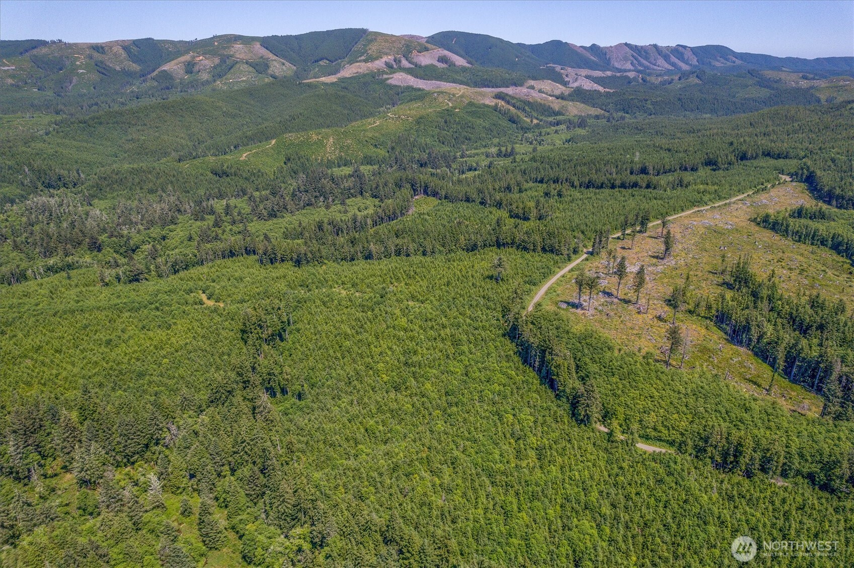 0 Walberg Road Chinook, WA 98614 - Photo 15 of 29 a view of a lush green hillside and a mountain