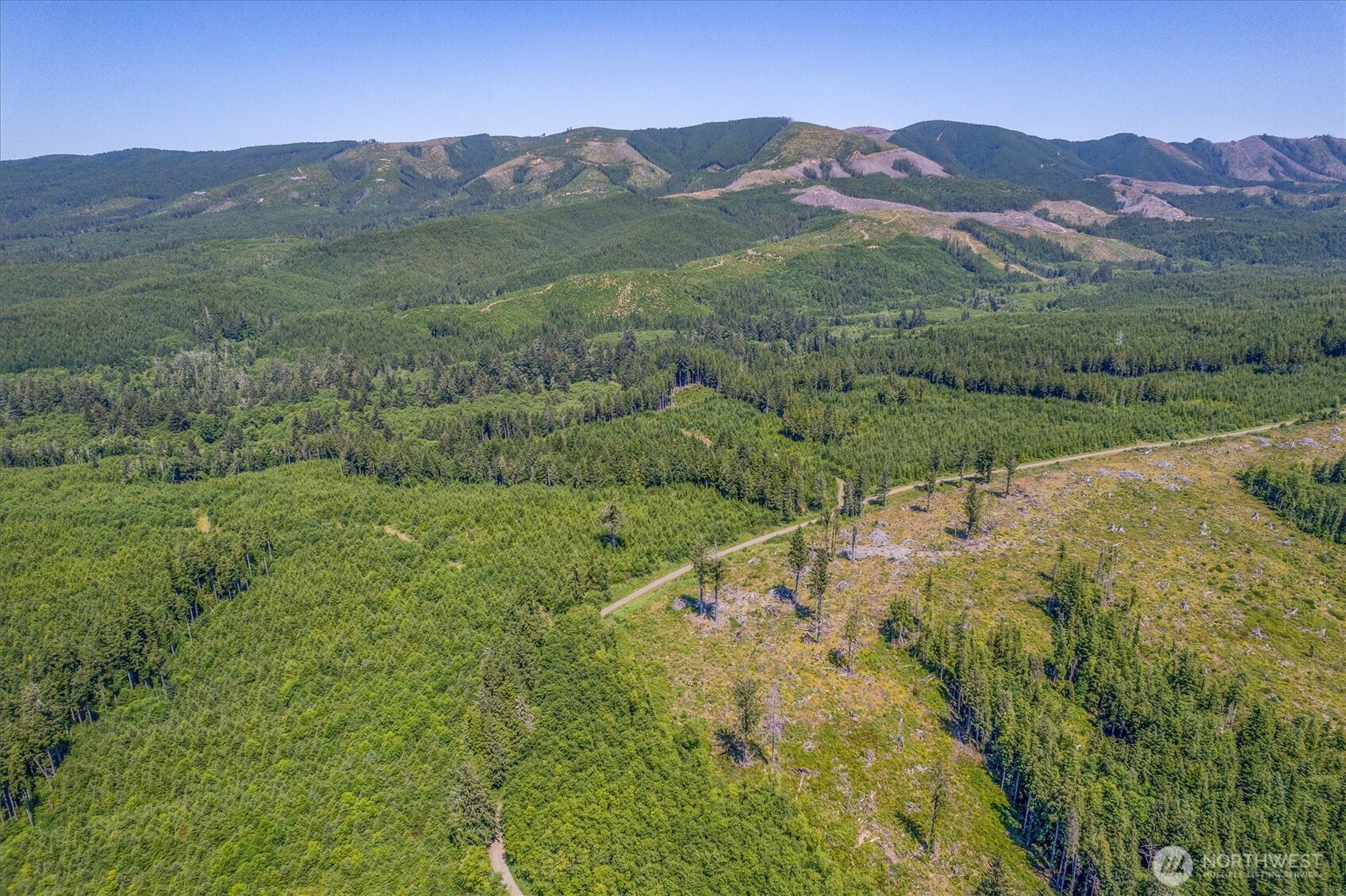 0 Walberg Road Chinook, WA 98614 - Photo 16 of 29 a view of a lush green hillside and a houses