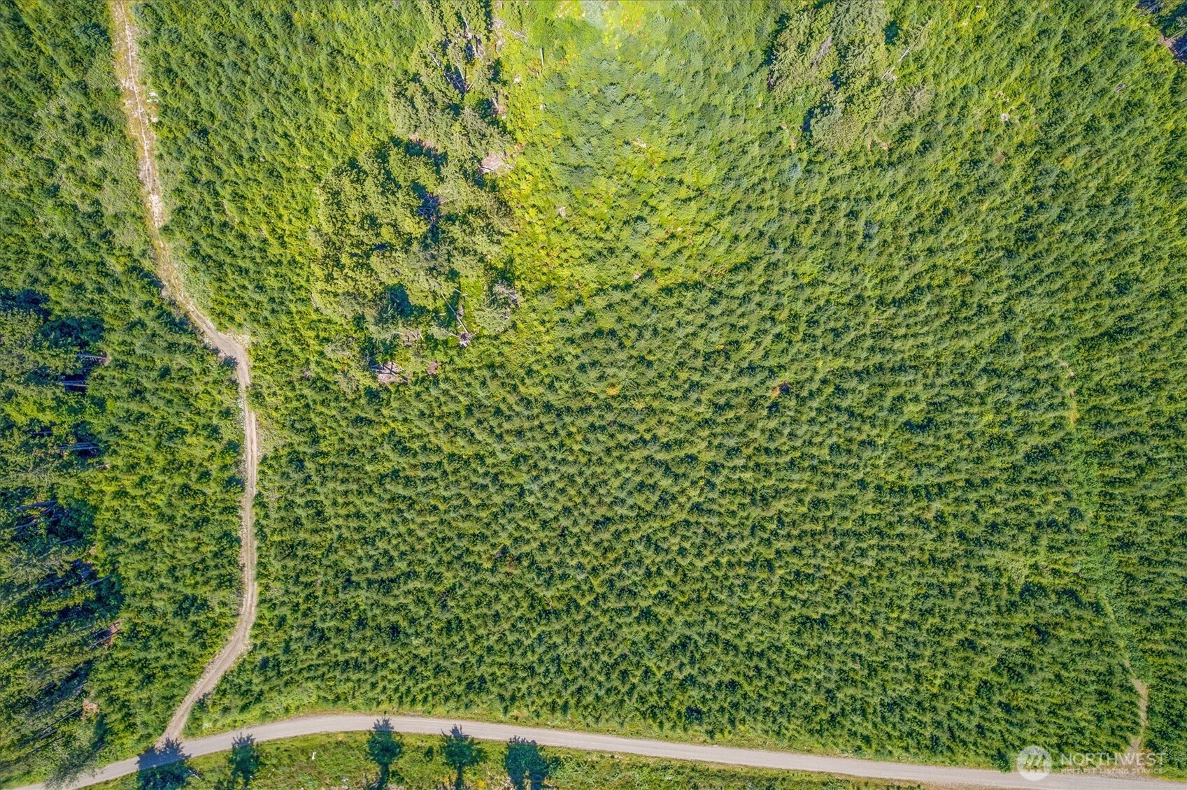 0 Walberg Road Chinook, WA 98614 - Photo 17 of 29 a view of a yard