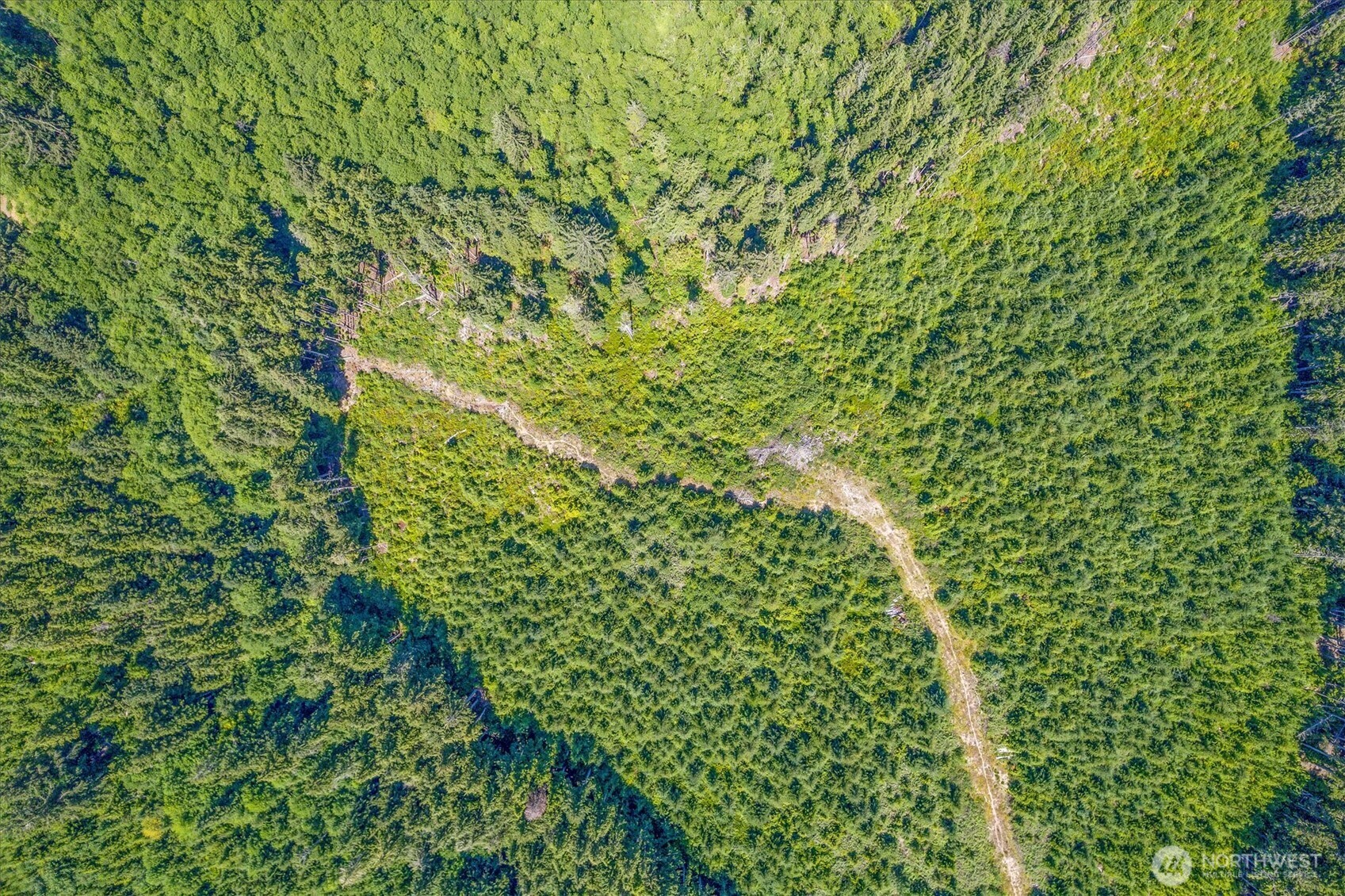 0 Walberg Road Chinook, WA 98614 - Photo 21 of 29 a view of a plants and yard