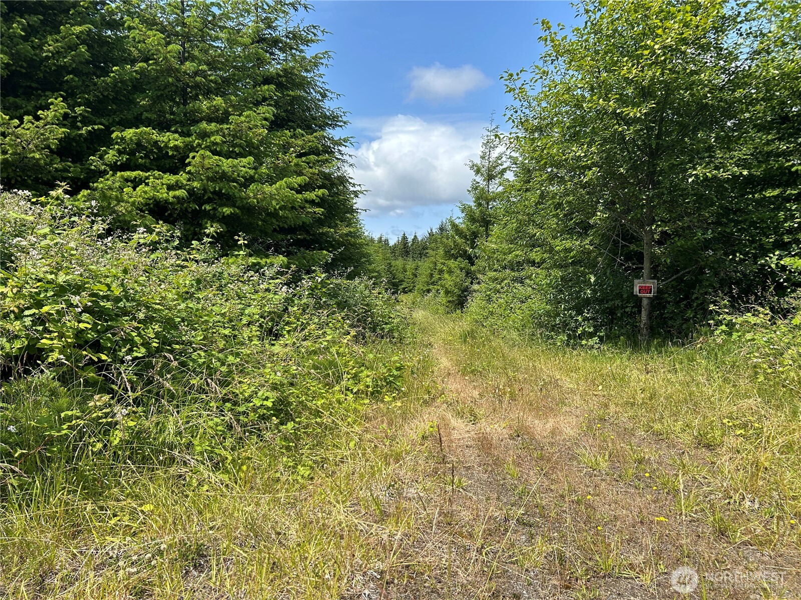 0 Walberg Road Chinook, WA 98614 - Photo 24 of 29 a view of a garden