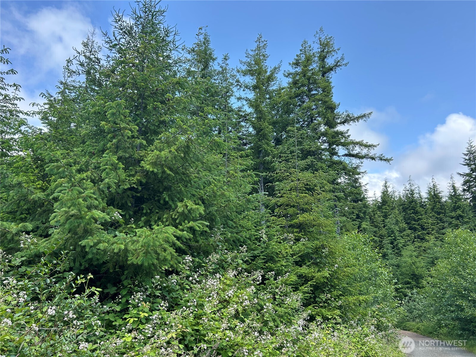 0 Walberg Road Chinook, WA 98614 - Photo 25 of 29 an aerial view of a house with a yard