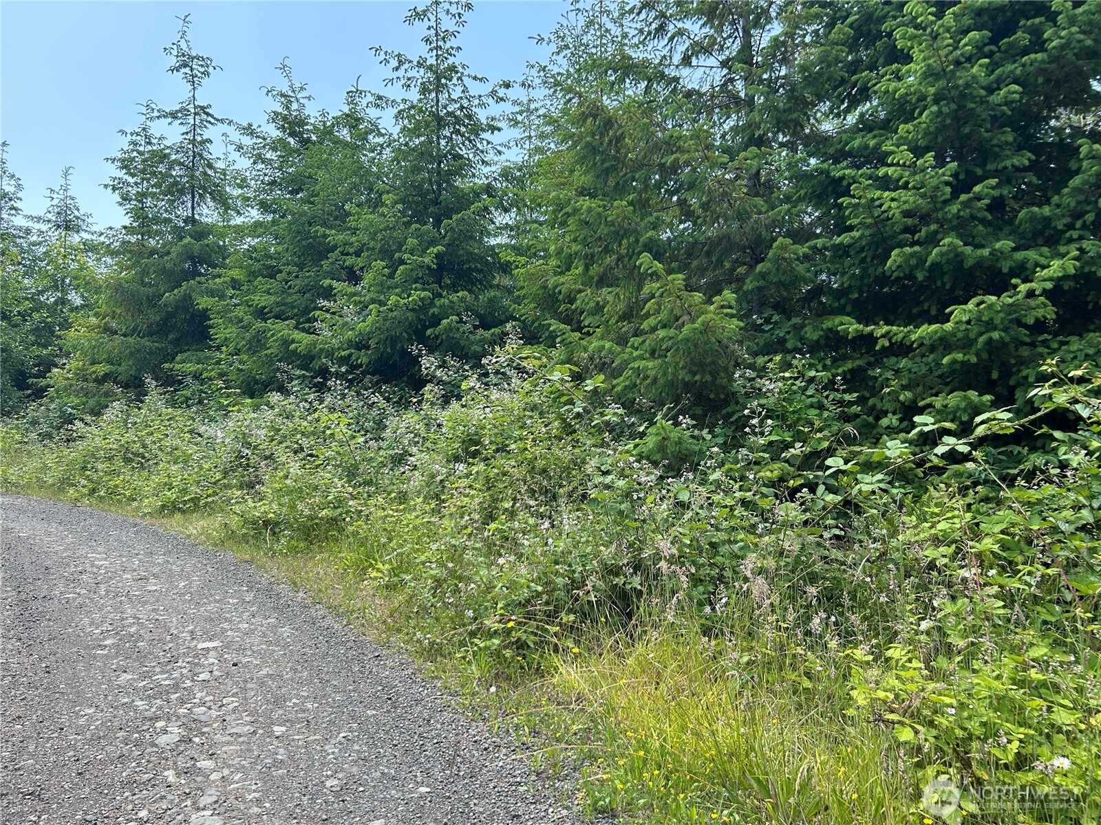 0 Walberg Road Chinook, WA 98614 - Photo 26 of 29 an aerial view of a forest with houses