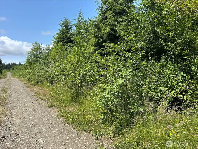a view of a lake with a tree