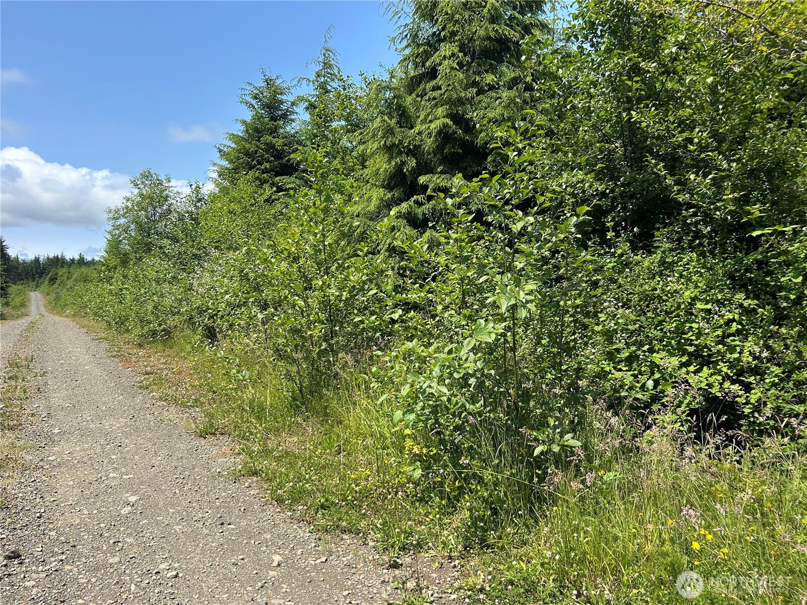 0 Walberg Road Chinook, WA 98614 - Photo 29 of 29 a view of a lake with a tree