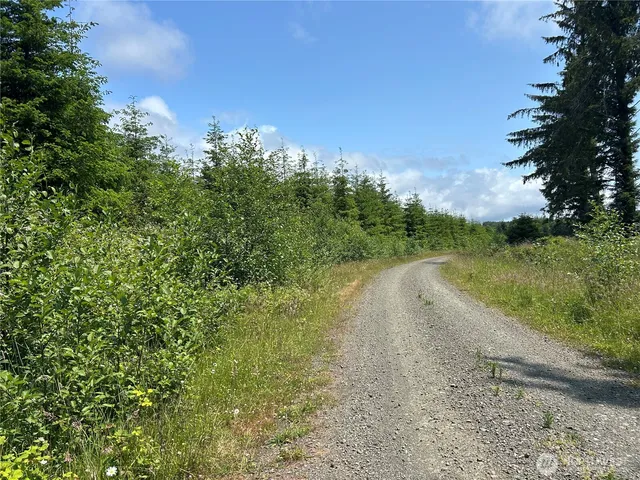 a view of a road with a yard