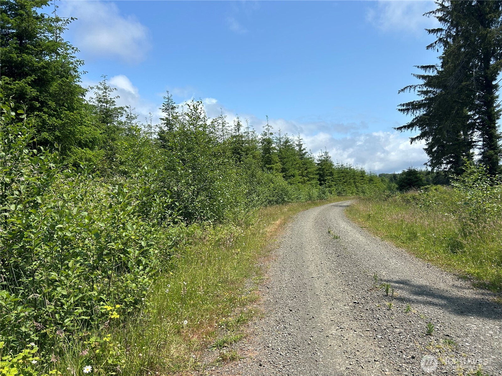 0 Walberg Road Chinook, WA 98614 - Photo 4 of 29 a view of a road with a yard