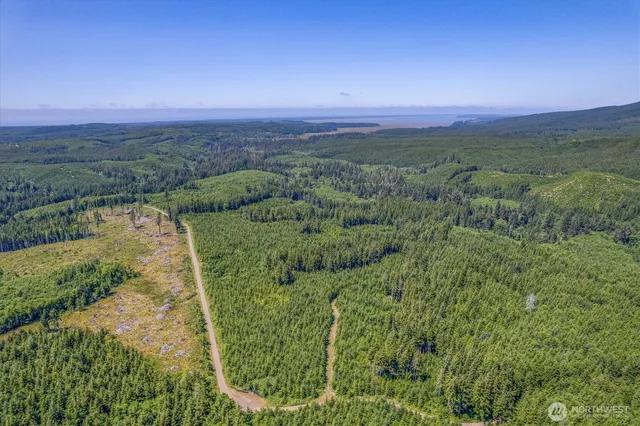 a view of a lake with a city