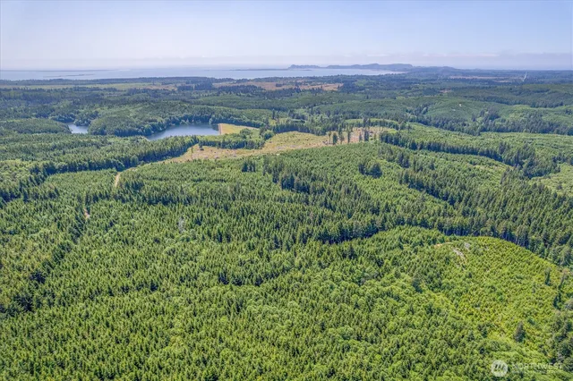 a view of a lush green field