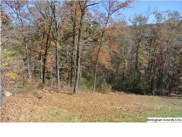 262 Ridgewood Drive Remlap, AL 35133 - Photo 23 of 32 Gallery Image 23