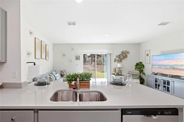 a kitchen with a sink and a potted plant