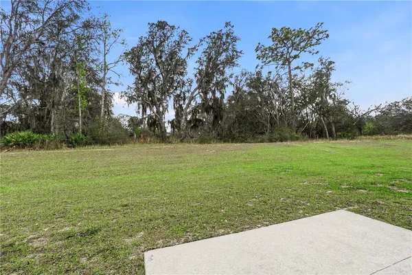 a view of a field with an trees