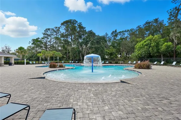 a view of a park entertaining space