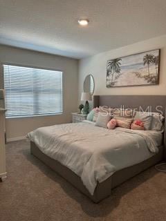 3204 Goose Road Davenport, FL 33837 - Photo 9 of 11