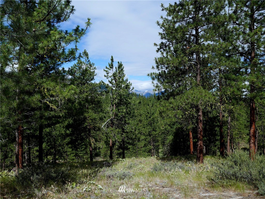 24 South Palomino Road Winthrop, WA 98862 - Photo 3 of 23 Gallery Image 3