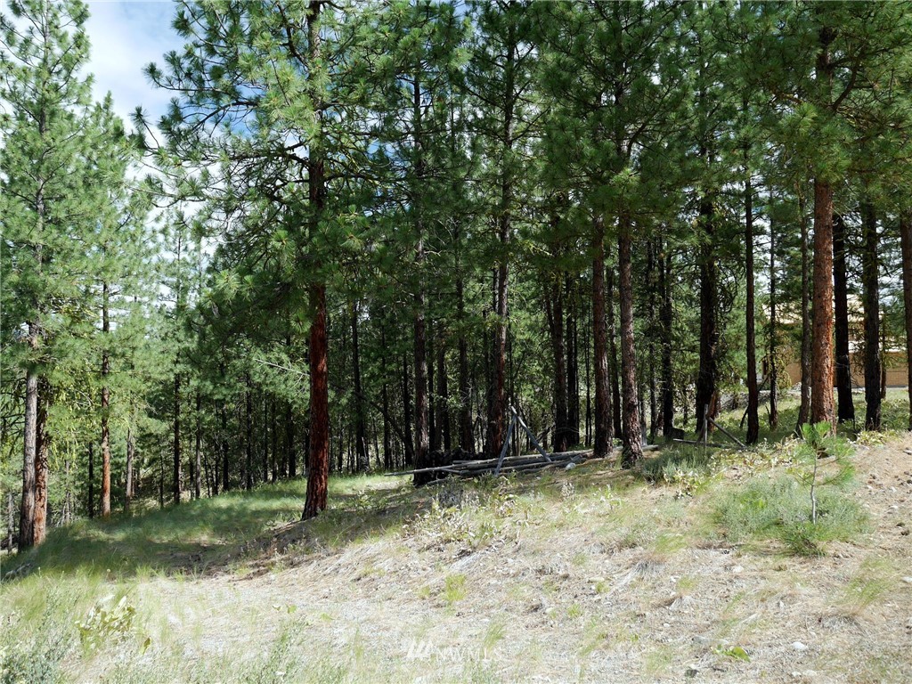 24 South Palomino Road Winthrop, WA 98862 - Photo 8 of 23 Gallery Image 8