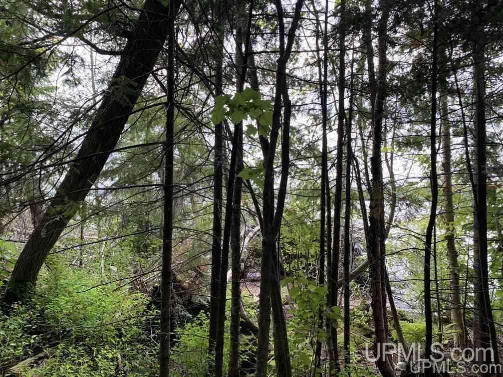 Lot 1 Bayview Road Lanse, MI 49946 - Photo 13 of 27