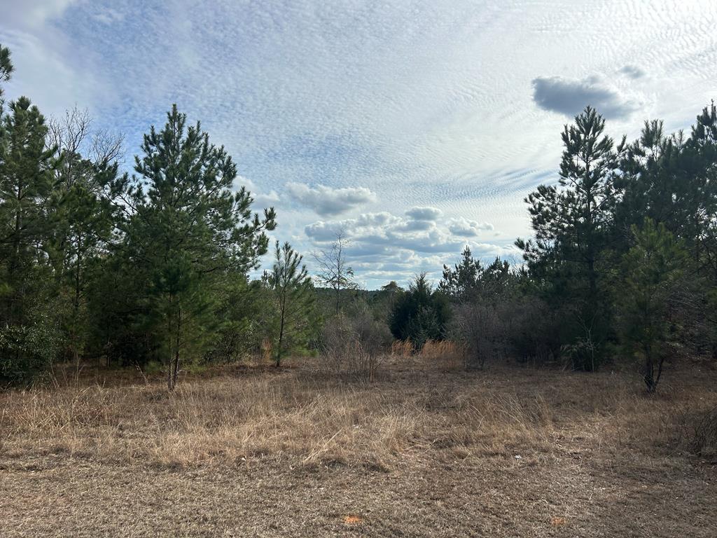 9-ac Whittle Hudson Road Ozark, AL 36360 - Photo 1 of 34 Main View