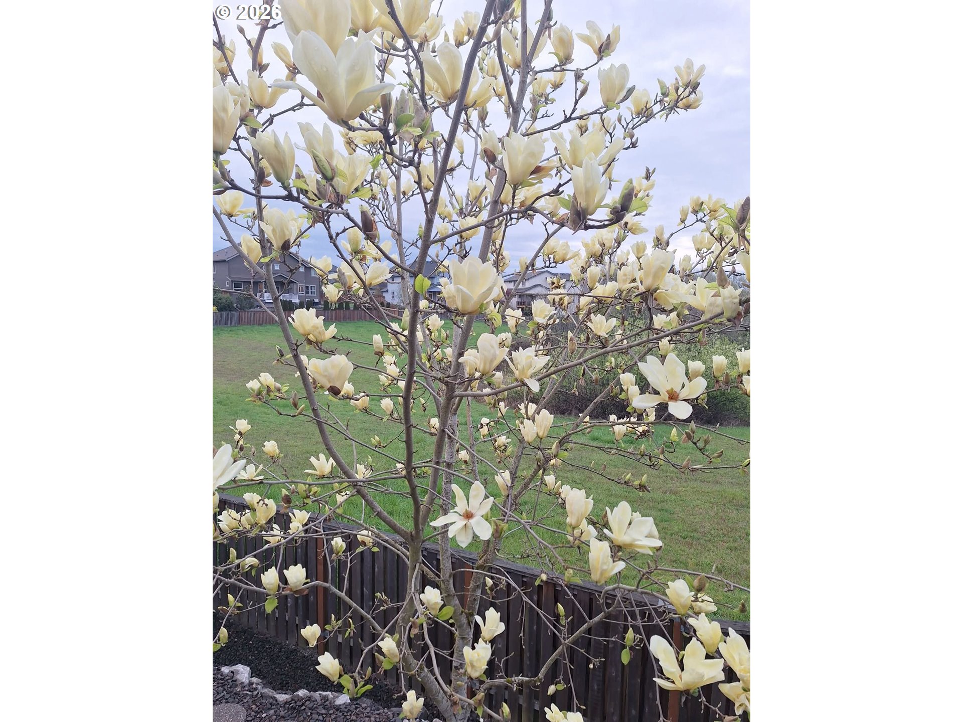 1275 South 15th Way Ridgefield, WA 98642 - Photo 42 of 48