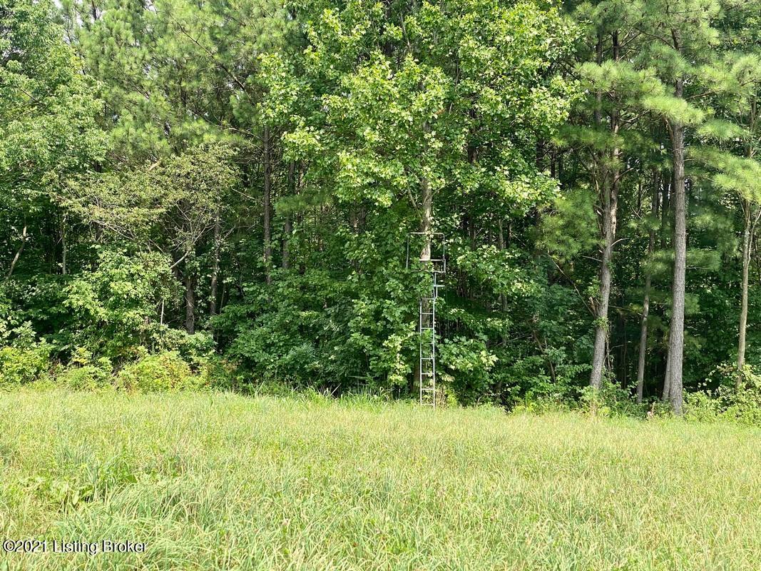 1270 Duvall Road Caneyville, KY 42721 - Photo 40 of 61 1270 Duvall Rd30