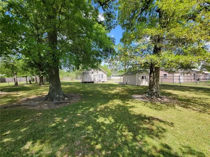a big yard with tree s