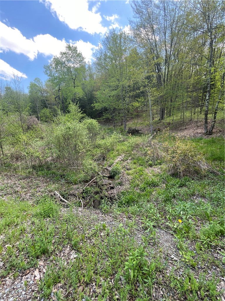 1-20 Sternberg Road Jefferson, NY 12093 - Photo 5 of 12