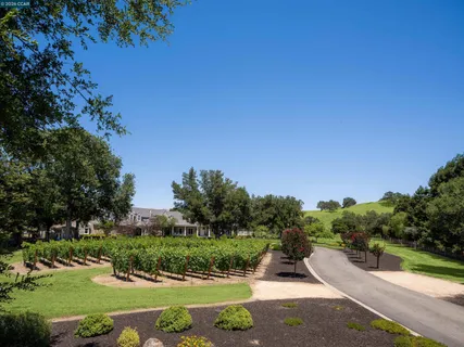 $6,698,800 | 5401 Penny Lane, Danville, CA 94506