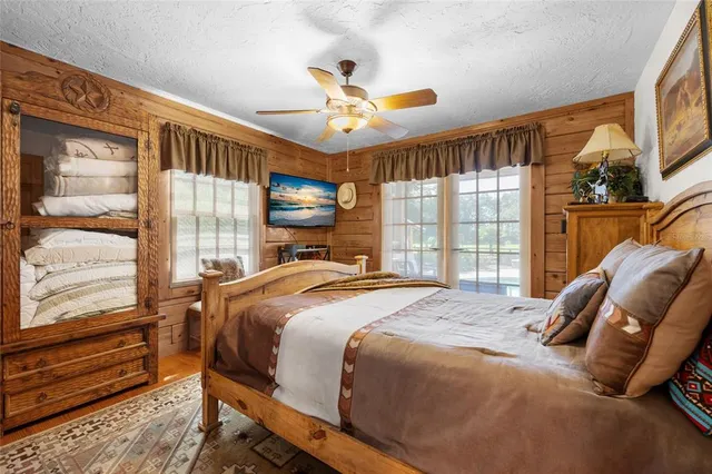 a view of a park with large trees