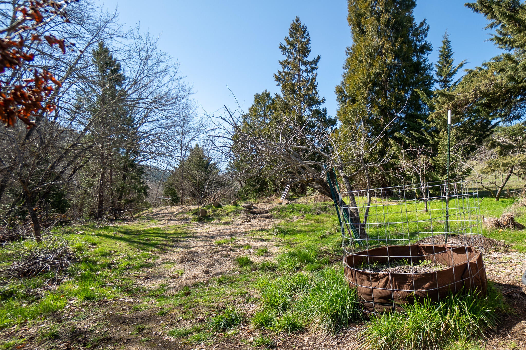 1828 Anderson Creek Road Talent, OR 97540 - Photo 40 of 43 DSC08341-HDR