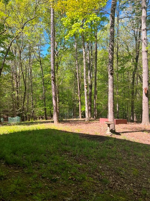 155 Rising Fawn Lane Murphy, NC 28906 - Photo 24 of 26 Large yard