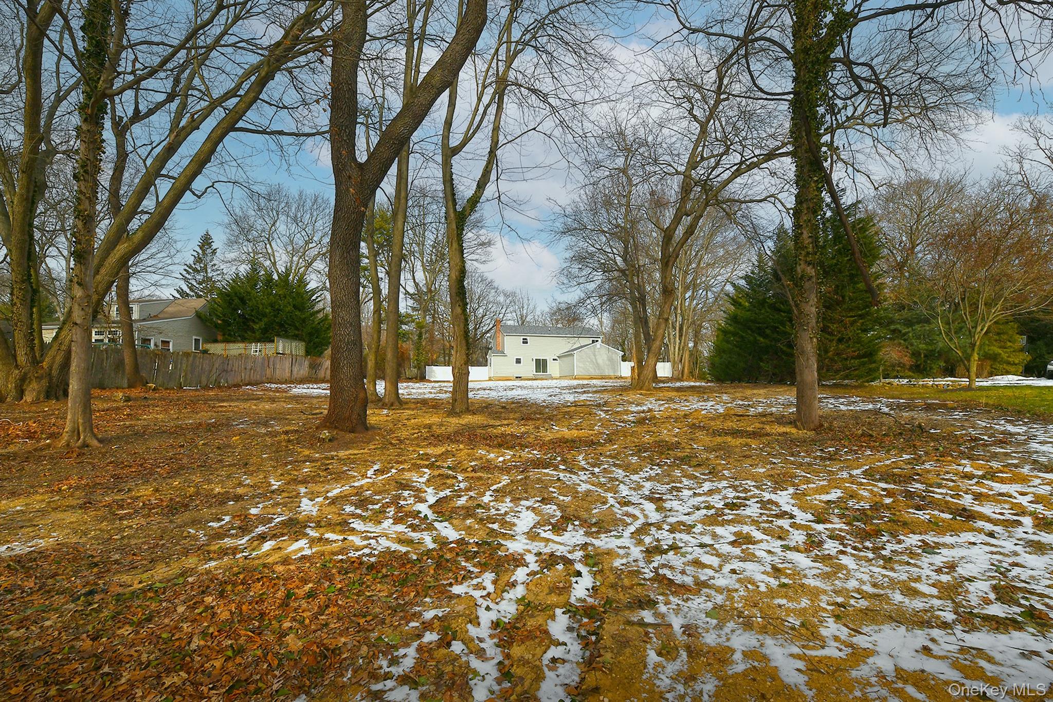 34 Warner Road Huntington, NY 11743 - Photo 38 of 39 a view of yard with trees