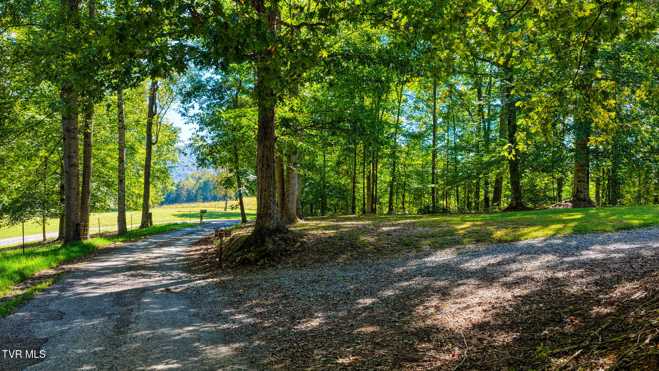 138 Lauderback Road Rogersville, TN 37857 - Photo 51 of 52 138 Lauderback. Rog MLSa (24 of 25)