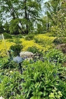 52 Wenham Road Topsfield, MA 01983 - Photo 35 of 42 a view of a yard with plants