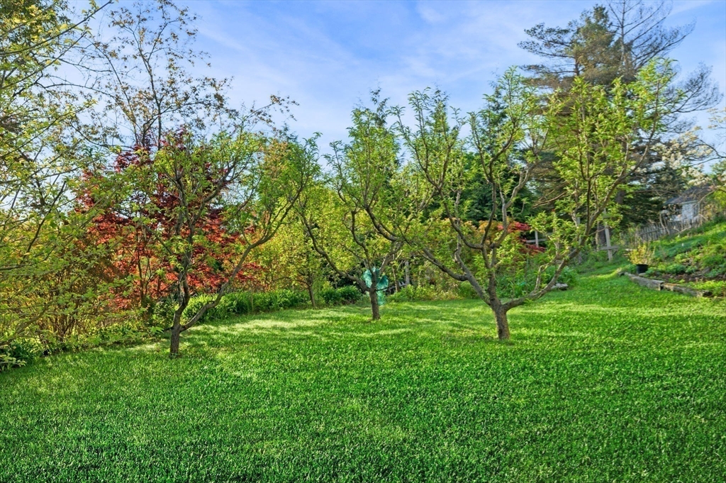 52 Wenham Road Topsfield, MA 01983 - Photo 37 of 42 a green field with lots of bushes