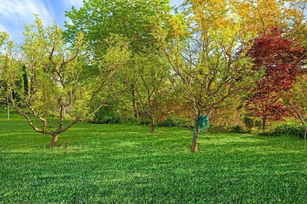 52 Wenham Road Topsfield, MA 01983 - Photo 38 of 42 a view of a grassy field with trees in the background