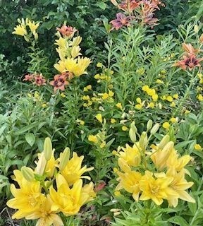 52 Wenham Road Topsfield, MA 01983 - Photo 39 of 42