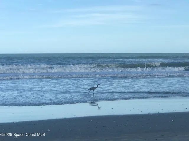 $3,000 | 2100 North Atlantic Avenue, Unit 1103, Cocoa Beach, FL 32931