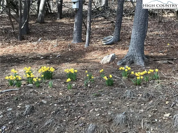 a backyard of a house