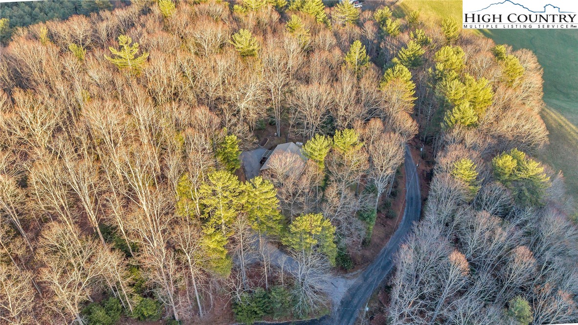 214 Deer Ridge Road Crumpler, NC 28617 - Photo 39 of 44 a picture of tree