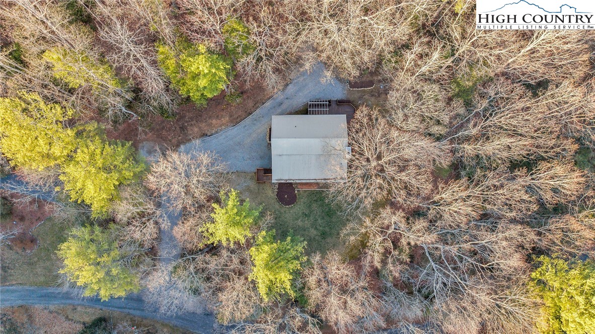 214 Deer Ridge Road Crumpler, NC 28617 - Photo 40 of 44 a picture of trees