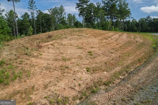 a view of a swimming pool with a yard