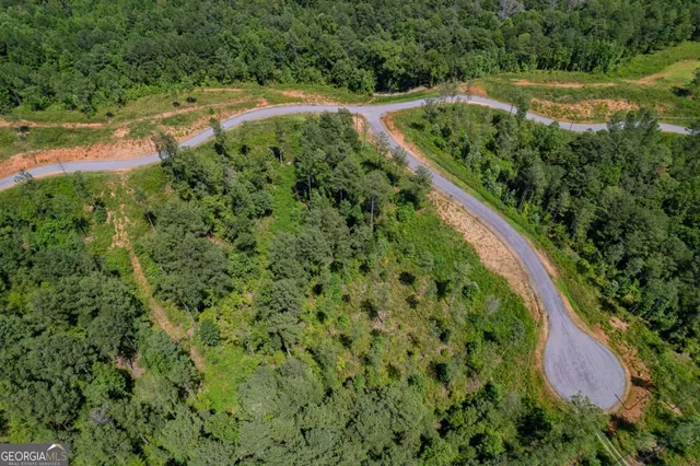 a view of a garden with a lake