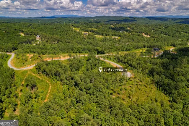a view of yard with green space