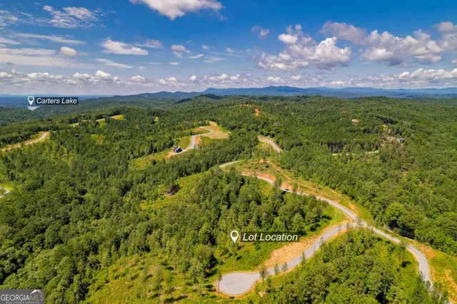 a view of a big yard of a house with a yard