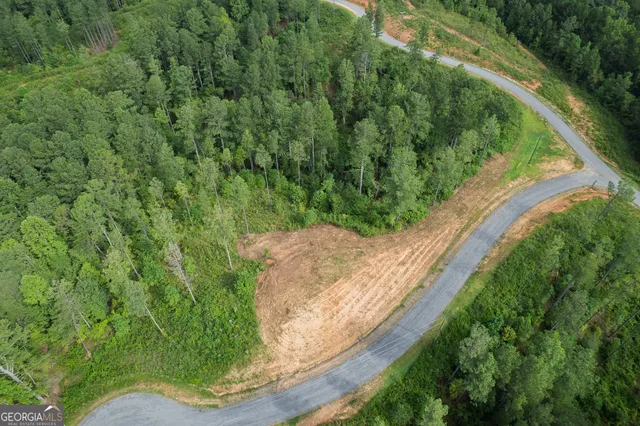 a view of a garden with a park