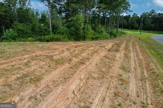 a view of a plants with yard