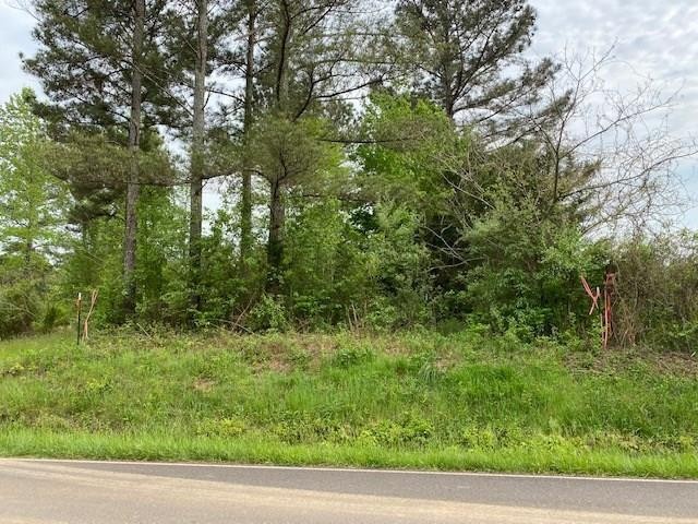 351 County Road Sweetwater, TN 37874 - Photo 2 of 14