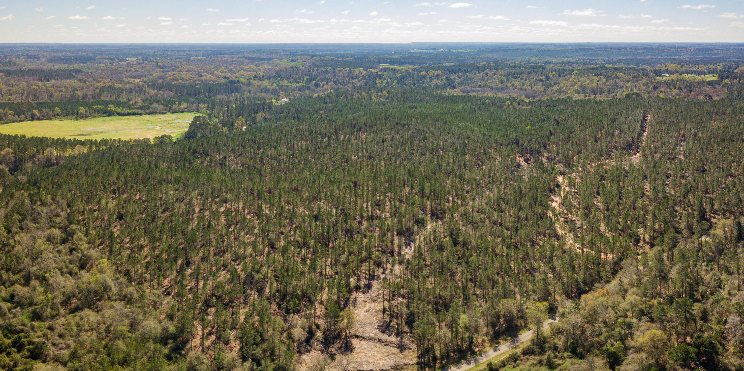 Lot 6 Timothy Road Ellisville, MS 39437 - Photo 10 of 26 Gallery Image 10
